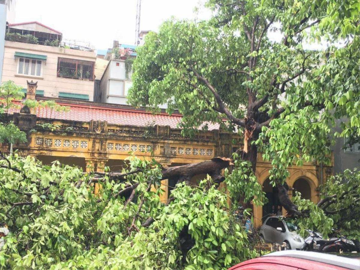 Hà Nội: Mưa lớn kèm gió mạnh bất ngờ trút xuống khiến nhiều tuyến đường ngập nặng Ảnh 4