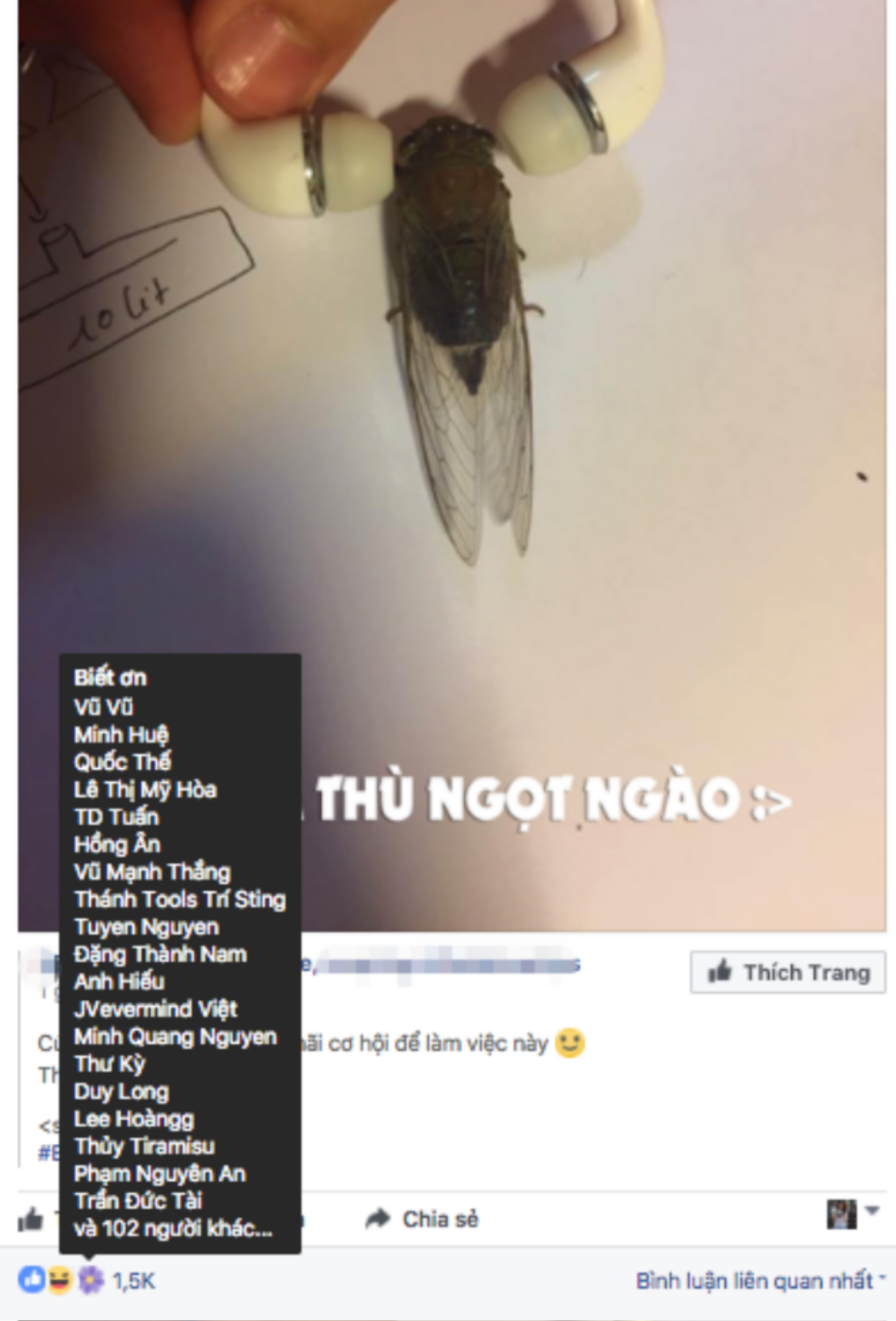 Facebook có nút reaction 'thả hoa' mừng Ngày của mẹ, nhưng cư dân mạng đang 'biết ơn' cái gì thế kia? Ảnh 2