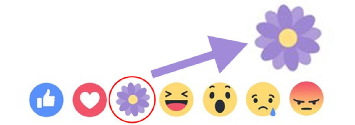 Facebook có nút reaction 'thả hoa' mừng Ngày của mẹ, nhưng cư dân mạng đang 'biết ơn' cái gì thế kia? Ảnh 1