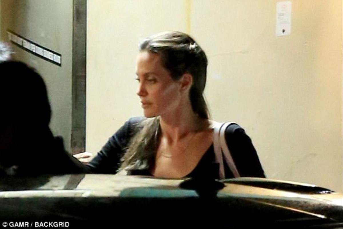 Angelina Jolie làm hòa với bố sau rạn nứt hôn nhân Ảnh 8