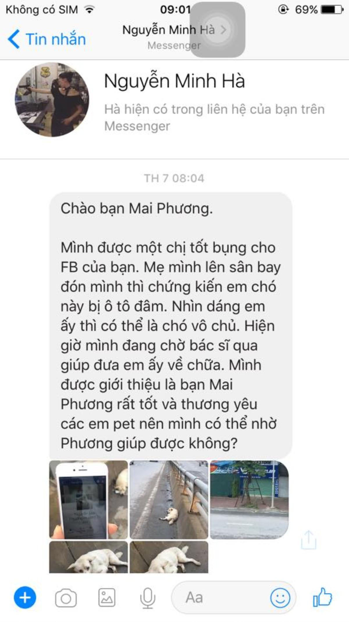 Chú chó bị đâm trên phố Hà Nội: Lòng thương và lời đề nghị thẳng thắn tới lạnh người Ảnh 4