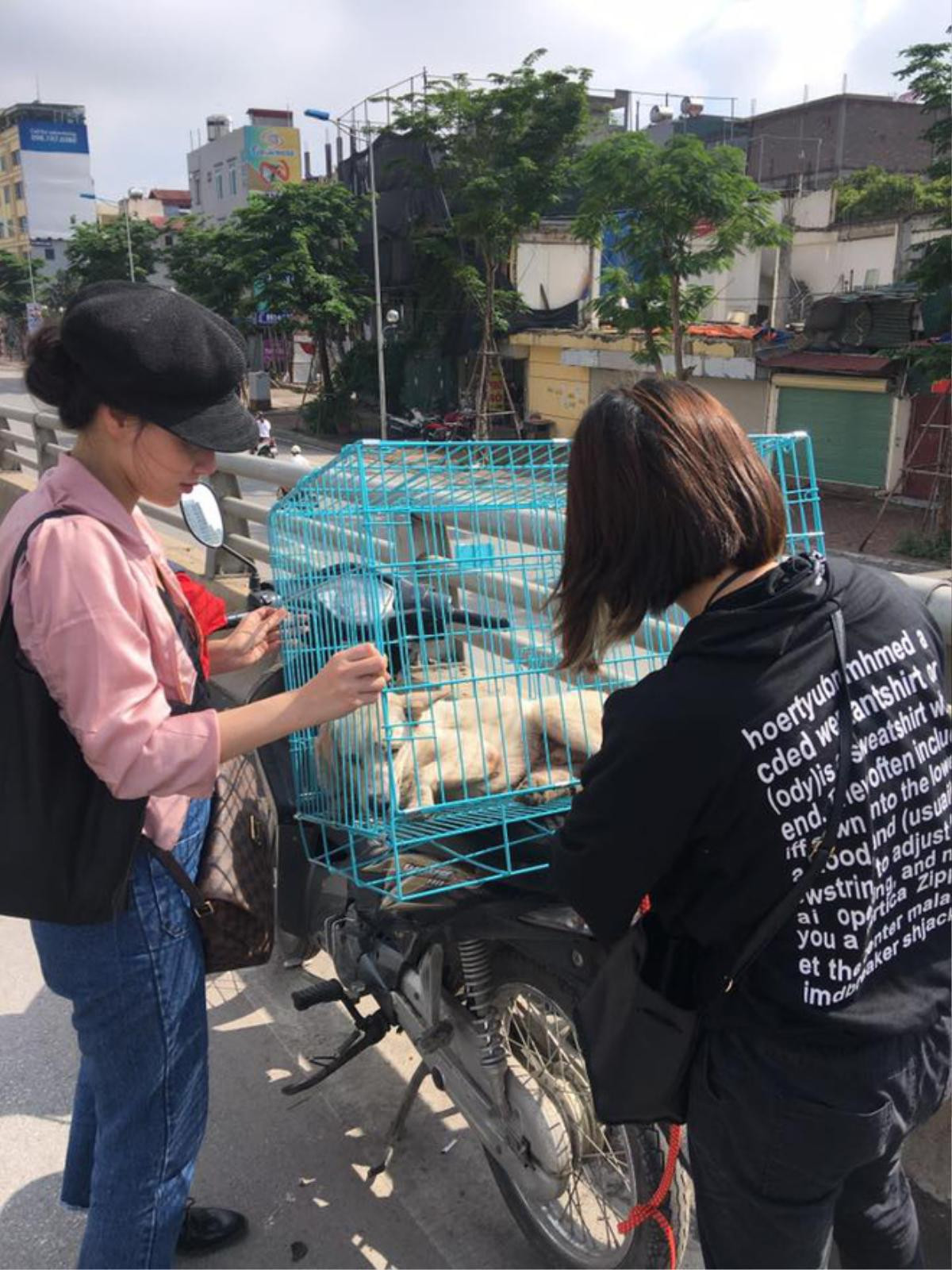 Chú chó bị đâm trên phố Hà Nội: Lòng thương và lời đề nghị thẳng thắn tới lạnh người Ảnh 5