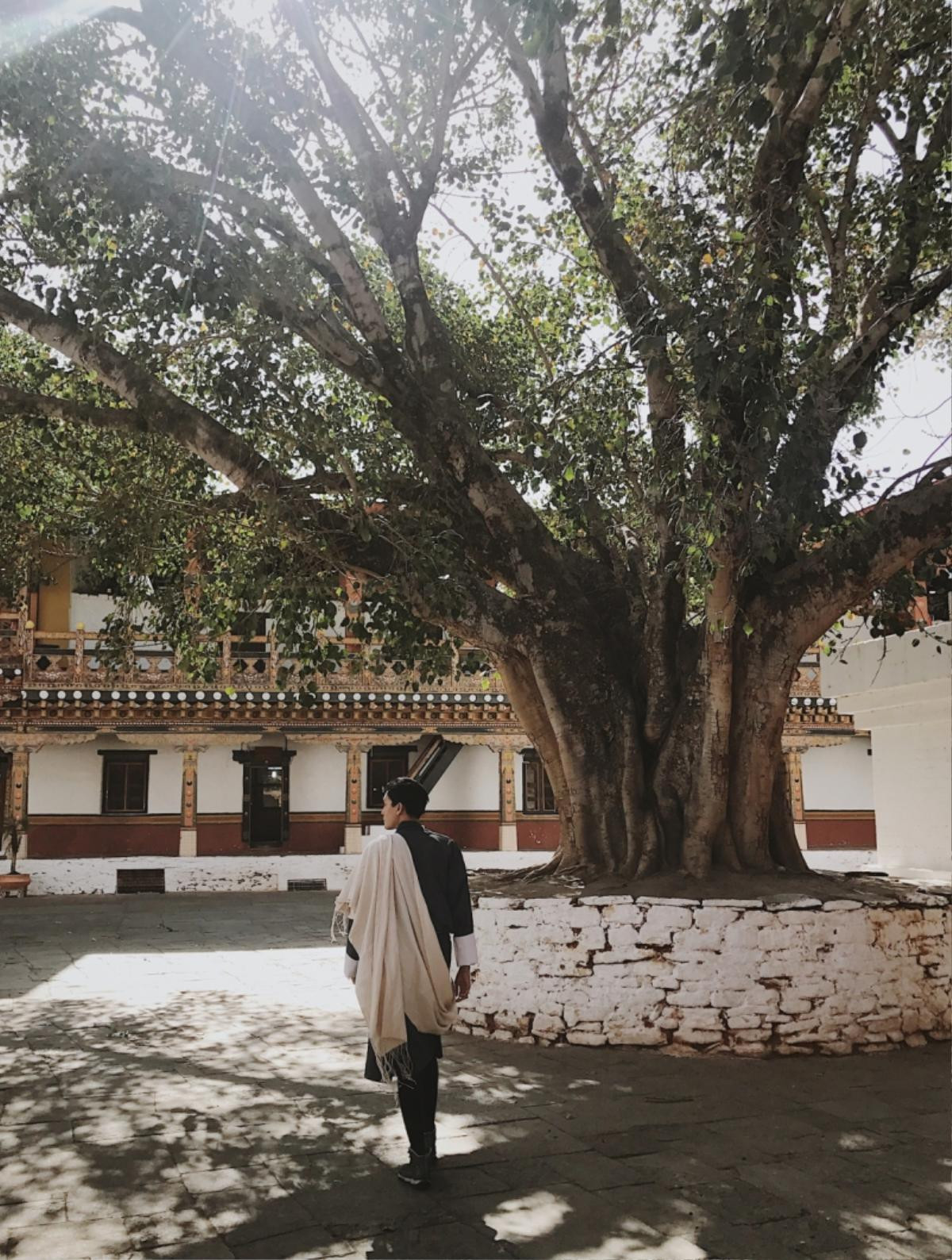 Quang Đại: 'Để hạnh phúc như người dân Bhutan, bạn phải nghĩ đến cái chết 5 lần 1 ngày' Ảnh 9