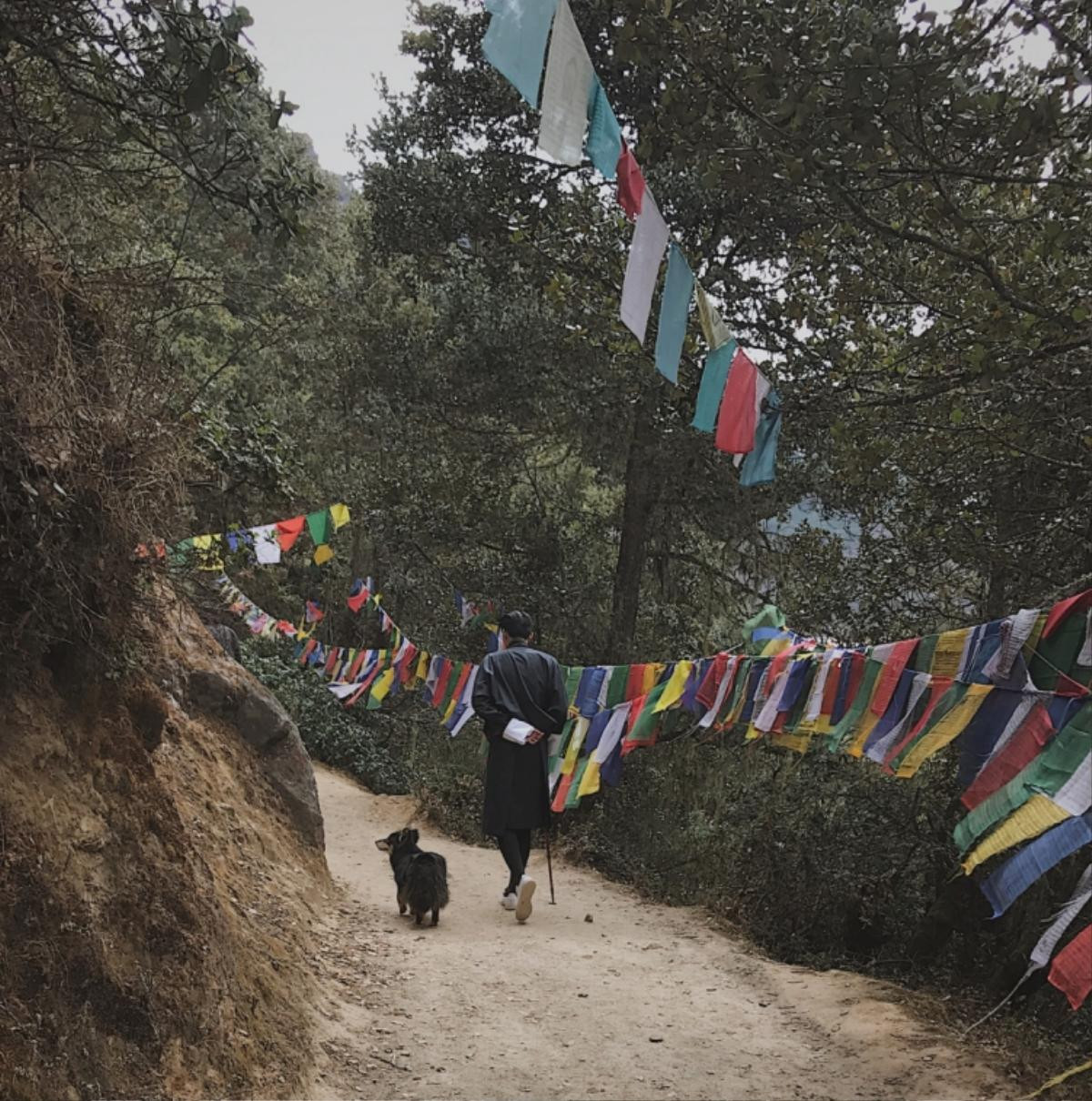 Quang Đại: 'Để hạnh phúc như người dân Bhutan, bạn phải nghĩ đến cái chết 5 lần 1 ngày' Ảnh 5