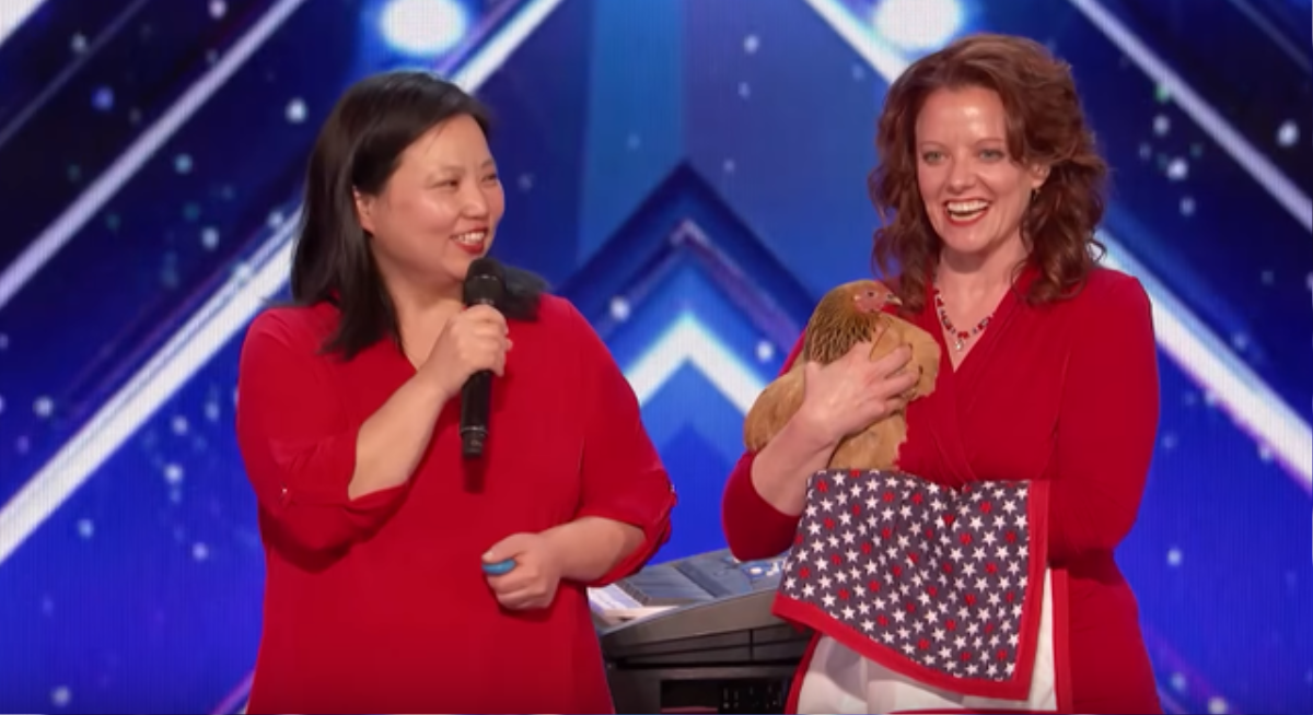 'Gà đánh đàn, chó đếm số' - tưởng đơn giản mà cũng thu về triệu view cho America's Got Talent Ảnh 1