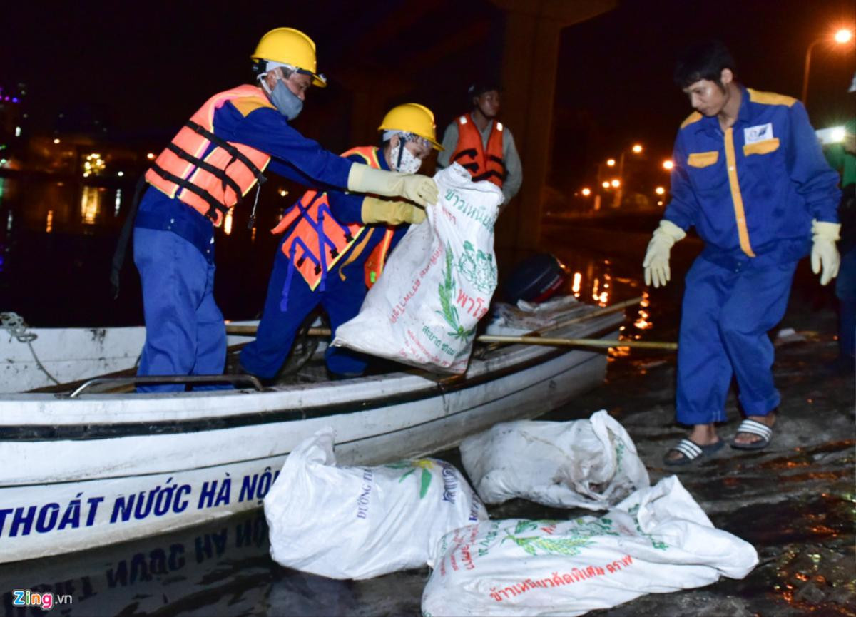 Trắng đêm vớt hàng tấn cá chết ở hồ Hoàng Cầu Ảnh 6