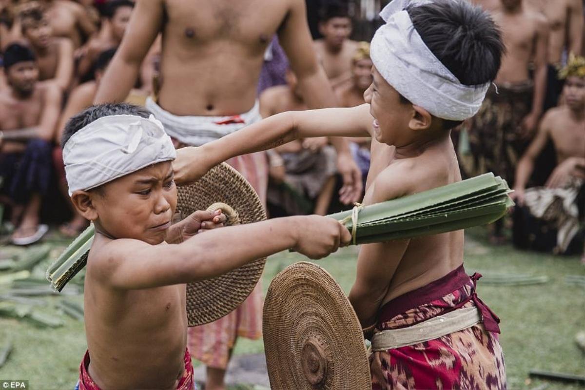 Indonesia: Đàn ông và trẻ em đánh nhau ‘tứa máu’ để cảm tạ thần linh trong lễ hội truyền thống Ảnh 1