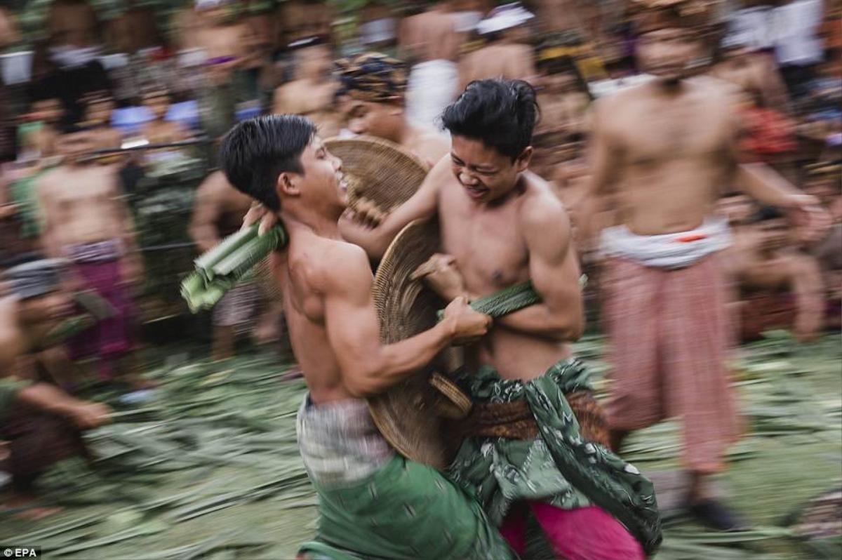 Indonesia: Đàn ông và trẻ em đánh nhau ‘tứa máu’ để cảm tạ thần linh trong lễ hội truyền thống Ảnh 3