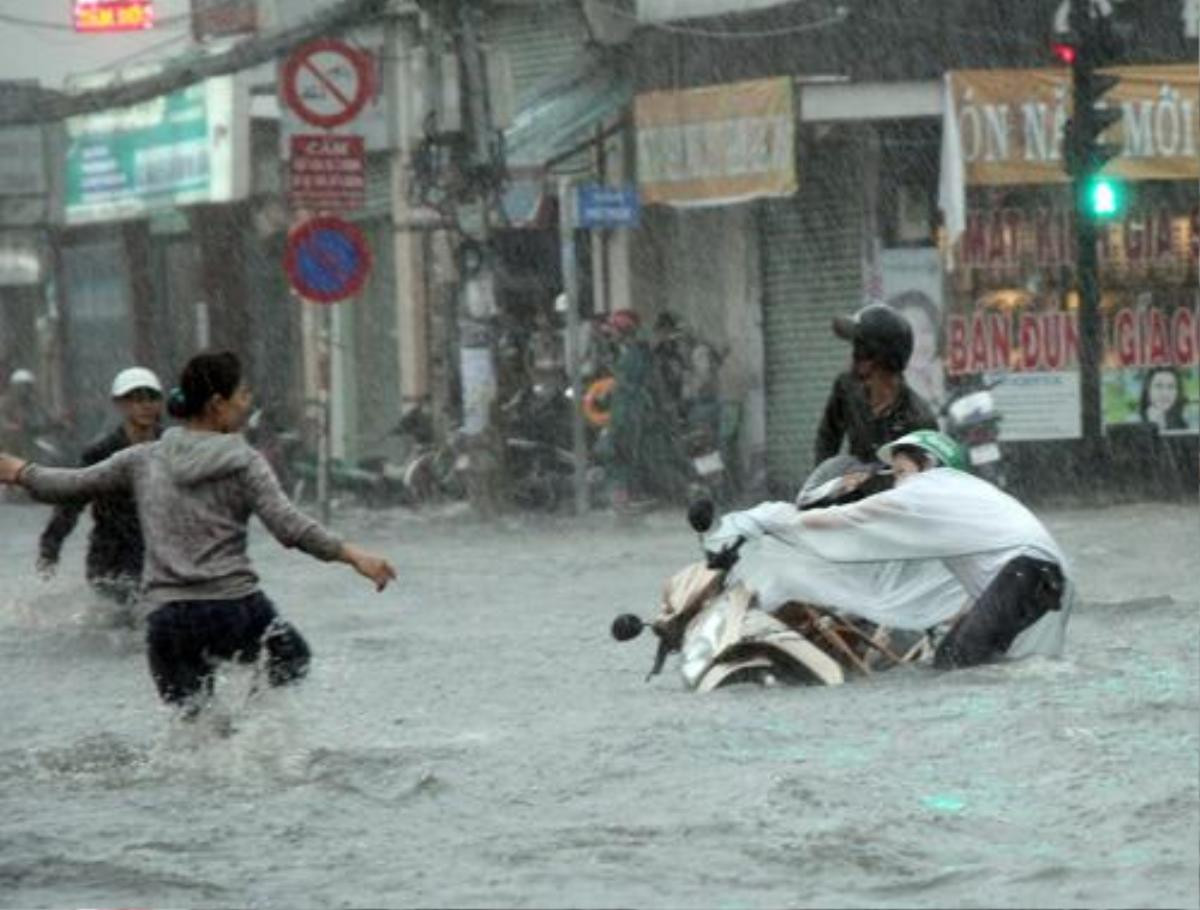 Sài Gòn ban ngày bỗng tối sầm, mưa lớn kèm gió mạnh khiến nhiều người hốt hoảng Ảnh 5