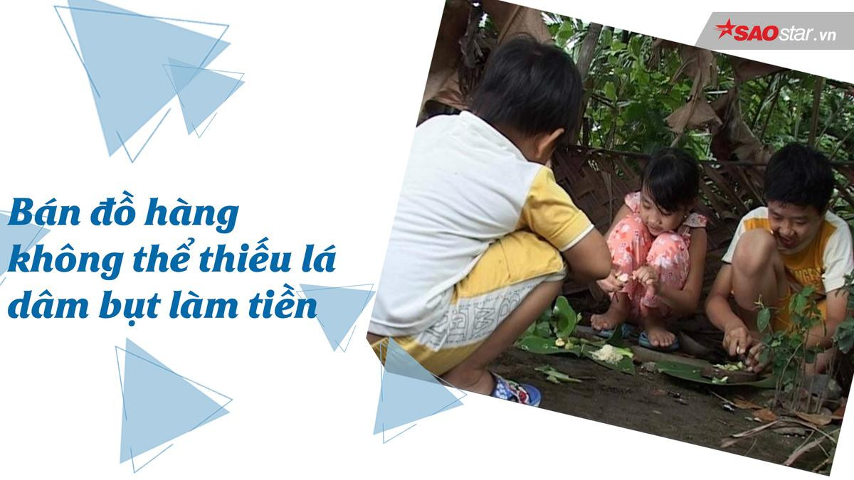 Có thật là hoa dâm bụt  'không nên cơm, cháo gì' không? Ảnh 1