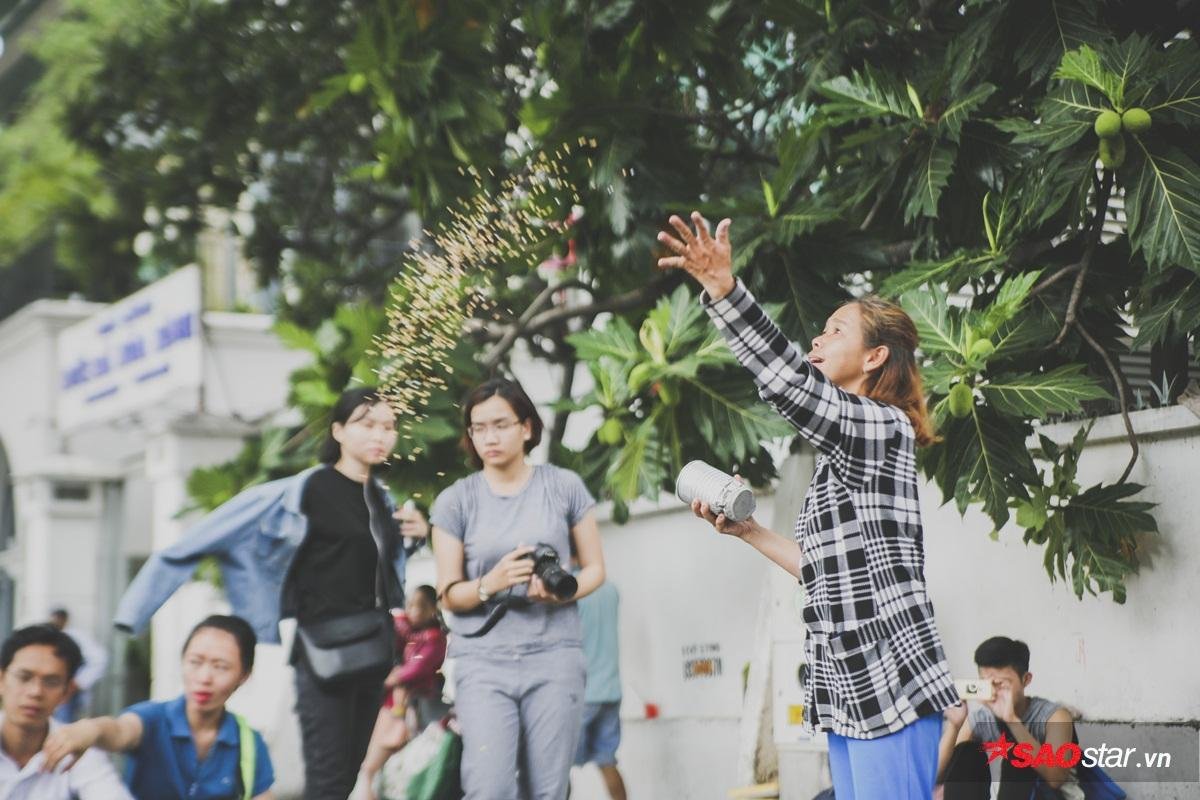 Bồ câu mang màu sắc kì lạ ở Nhà thờ Đức Bà: Trẻ em thích thú, người lớn nổi giận Ảnh 1