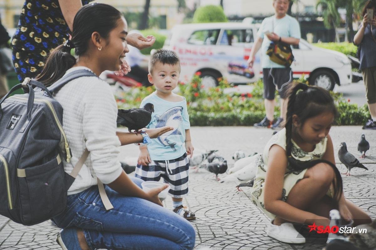 Bồ câu mang màu sắc kì lạ ở Nhà thờ Đức Bà: Trẻ em thích thú, người lớn nổi giận Ảnh 7