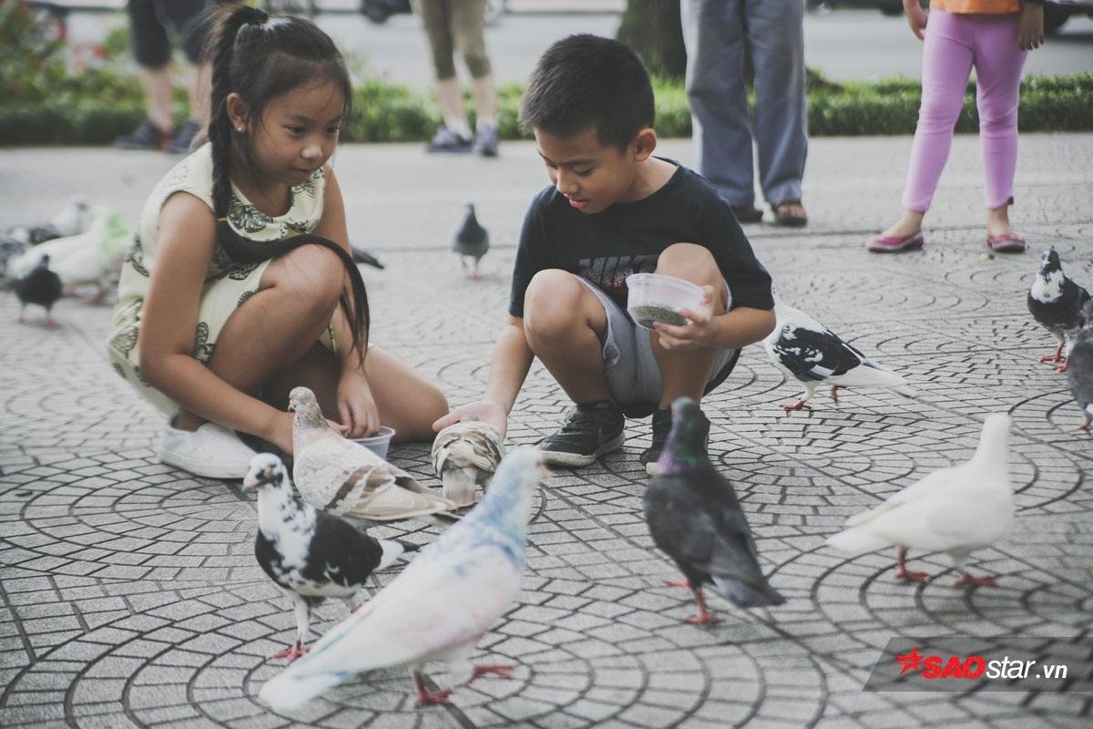 Bồ câu mang màu sắc kì lạ ở Nhà thờ Đức Bà: Trẻ em thích thú, người lớn nổi giận Ảnh 14