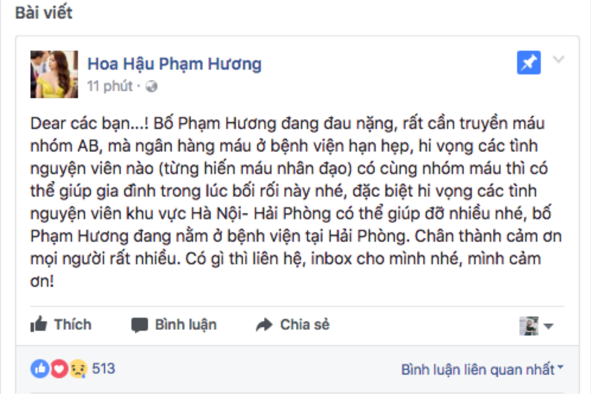 Tình trạng sức khỏe của bố nguy kịch, Hoa hậu Phạm Hương khẩn thiết tìm nhóm máu AB Ảnh 8