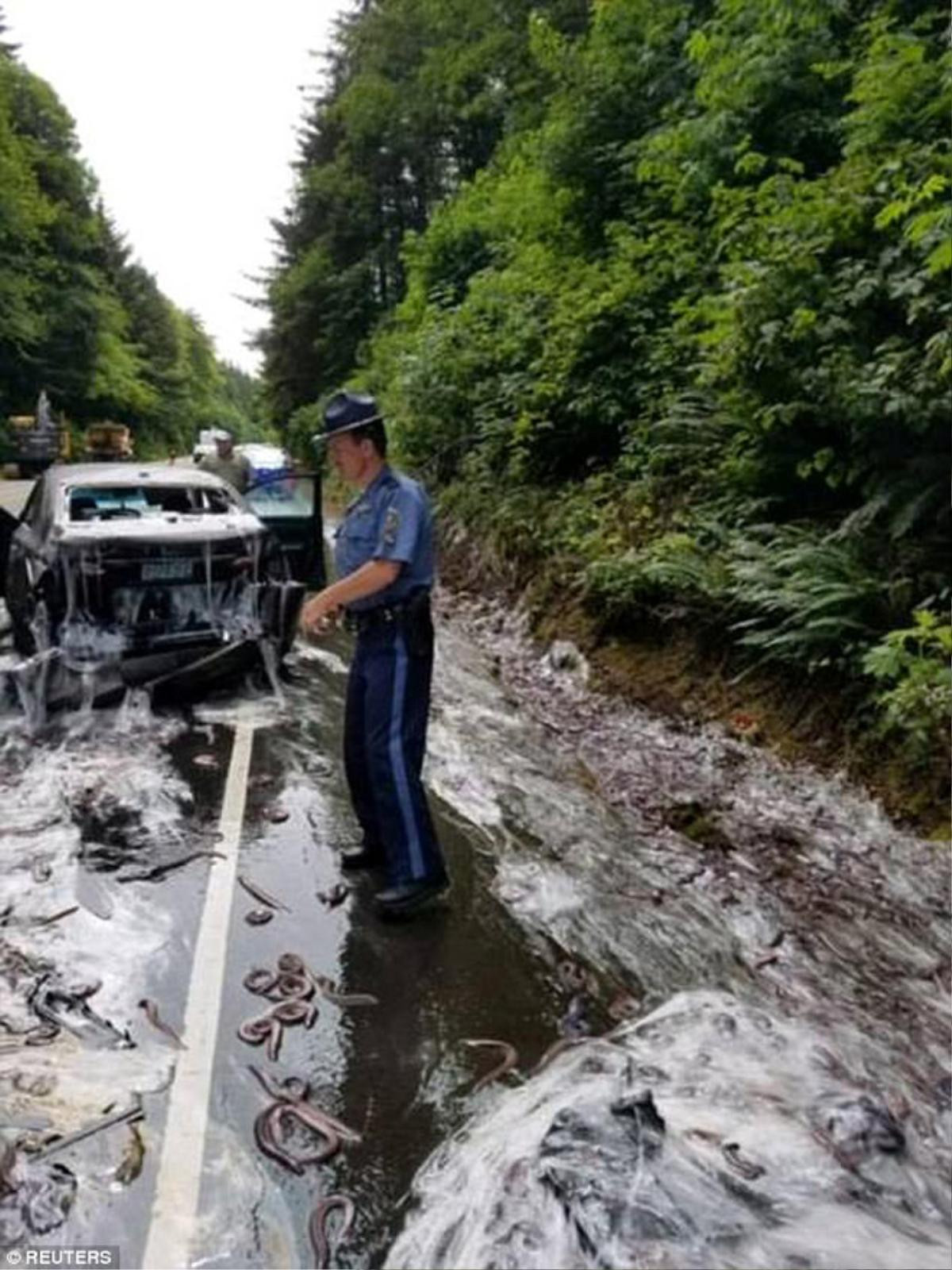 Hơn 3,4 tấn lươn đổ ra đường tạo nên cảnh tượng kinh hoàng như trong phim khoa học giả tưởng Ảnh 5