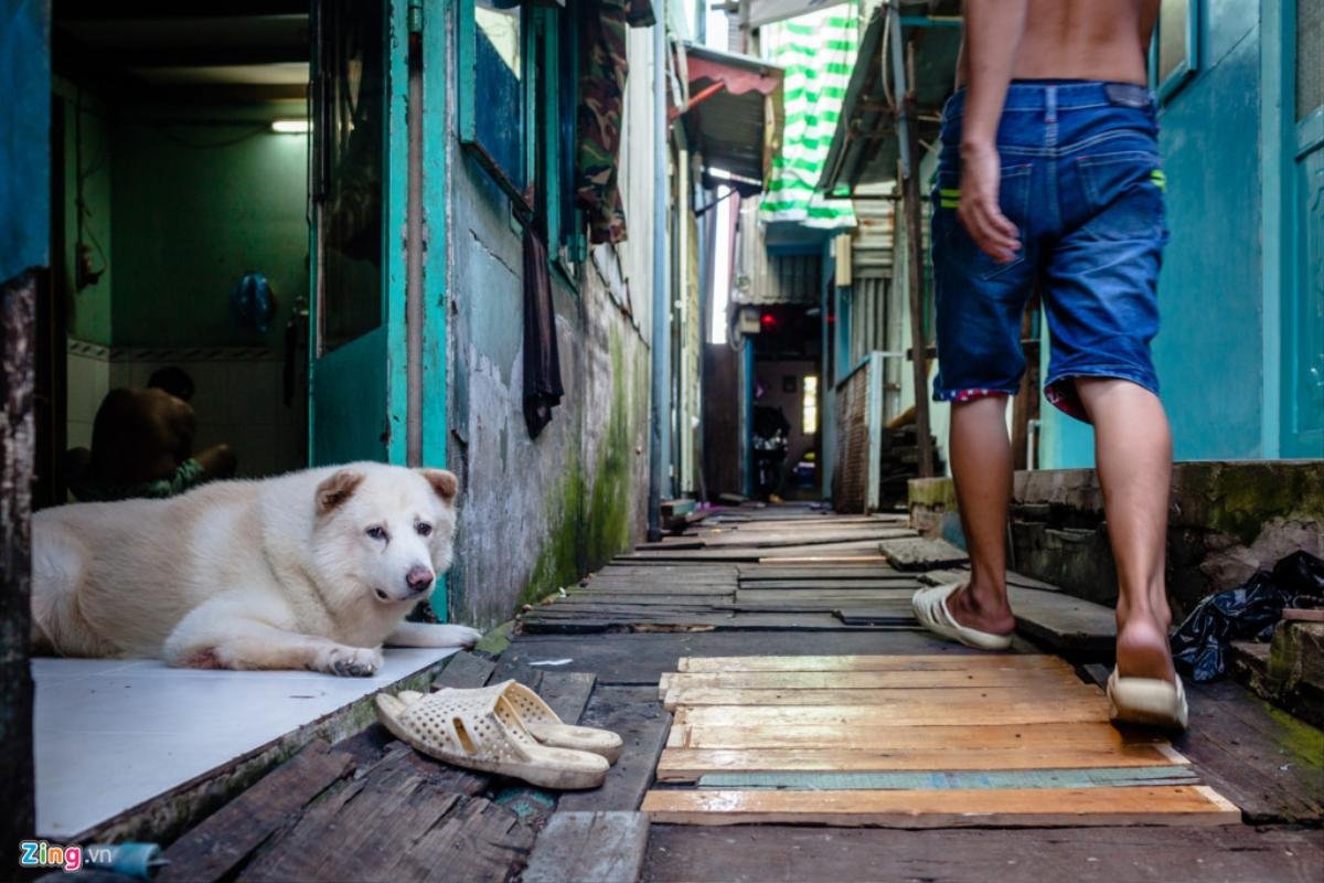 Những người cuối cùng ở 'khu ổ chuột' sắp bị giải toả giữa Sài Gòn Ảnh 5