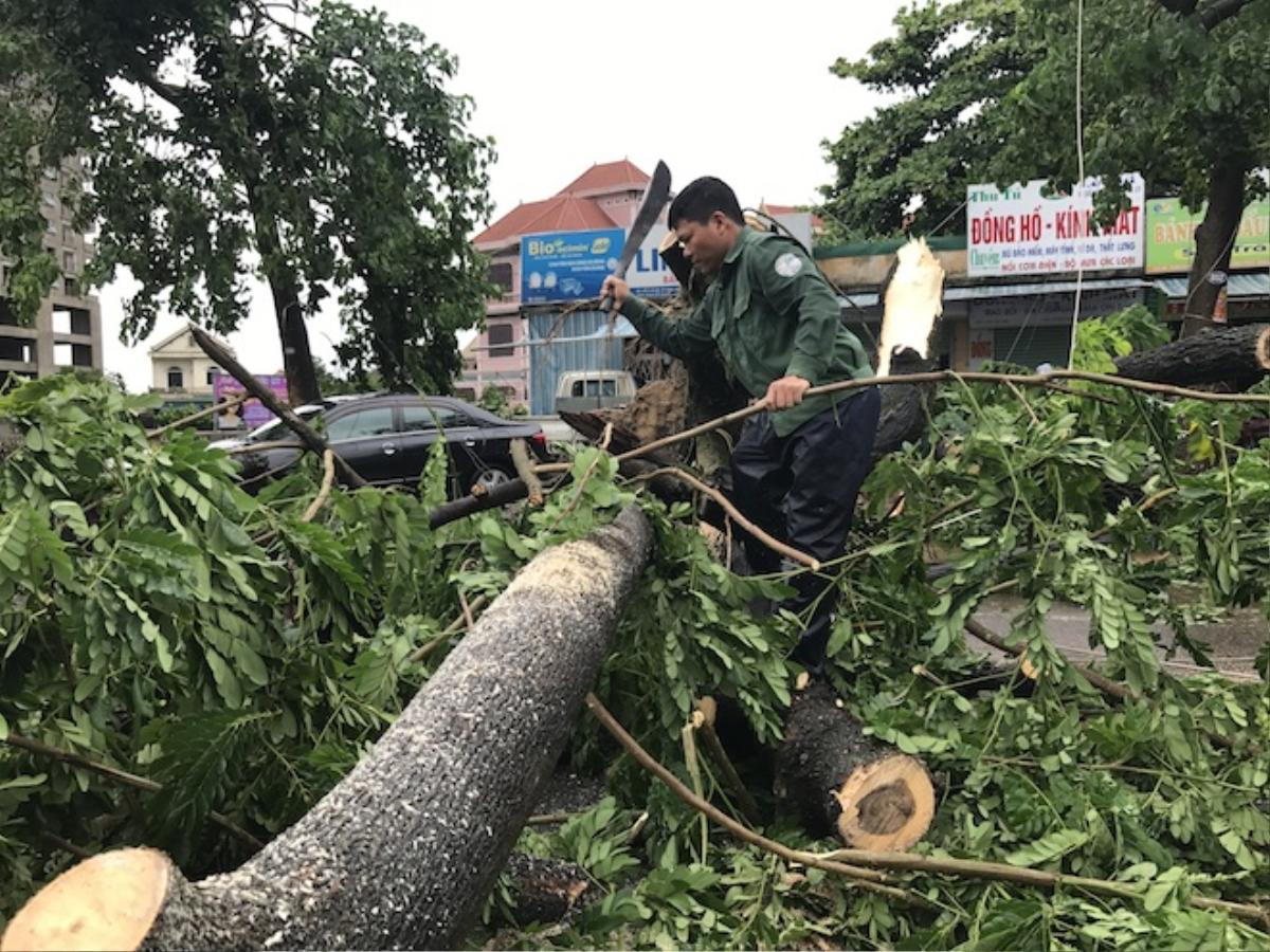 Nghệ An: Tan hoang sau bão, cây xanh bật gốc đè ô tô, người dân chặt cây tìm đường vào nhà Ảnh 15