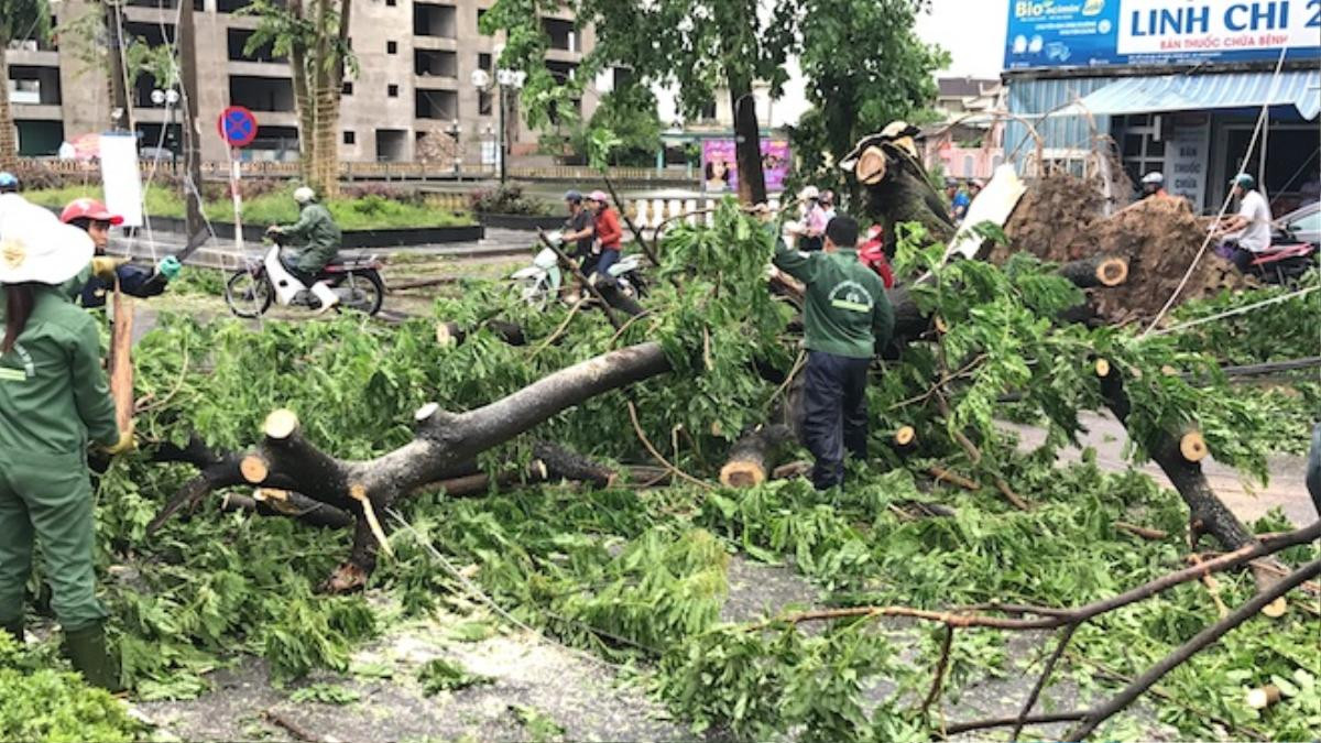 Nghệ An: Tan hoang sau bão, cây xanh bật gốc đè ô tô, người dân chặt cây tìm đường vào nhà Ảnh 16