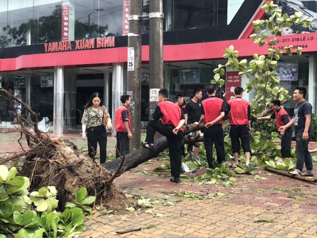 Nghệ An: Tan hoang sau bão, cây xanh bật gốc đè ô tô, người dân chặt cây tìm đường vào nhà Ảnh 6