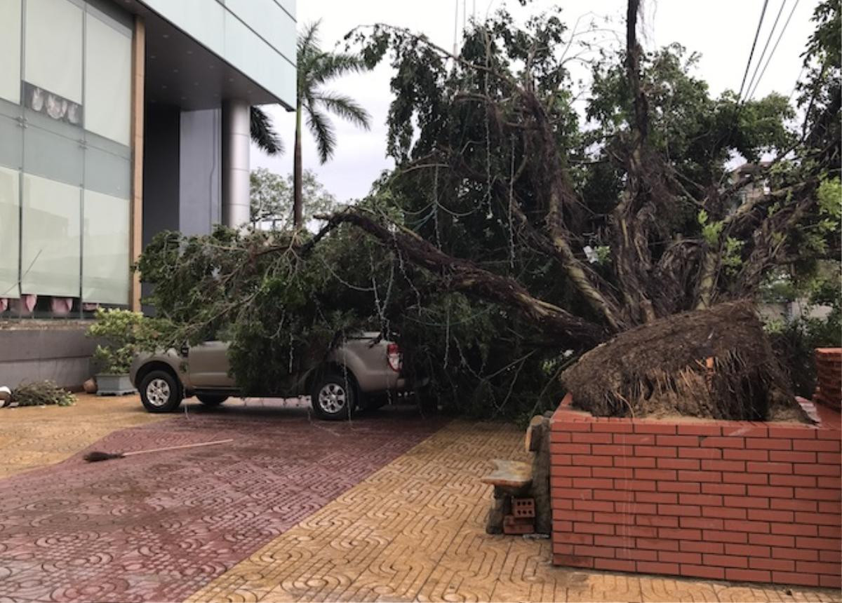 Nghệ An: Tan hoang sau bão, cây xanh bật gốc đè ô tô, người dân chặt cây tìm đường vào nhà Ảnh 7