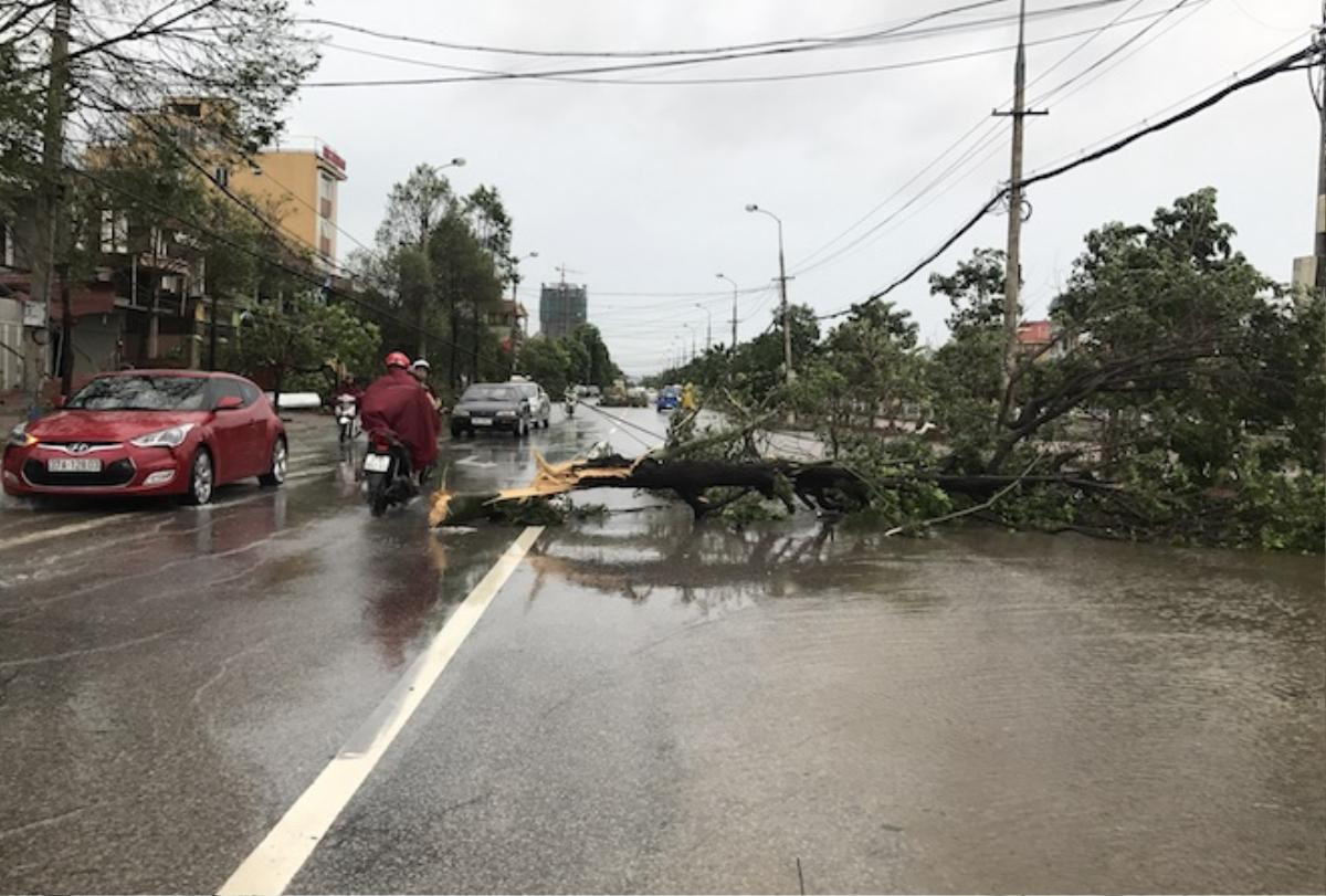 Nghệ An: Tan hoang sau bão, cây xanh bật gốc đè ô tô, người dân chặt cây tìm đường vào nhà Ảnh 18