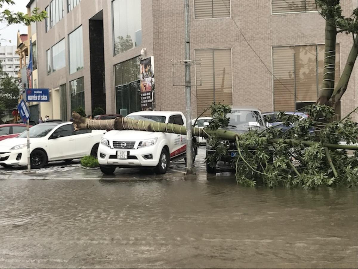 Nghệ An: Tan hoang sau bão, cây xanh bật gốc đè ô tô, người dân chặt cây tìm đường vào nhà Ảnh 8