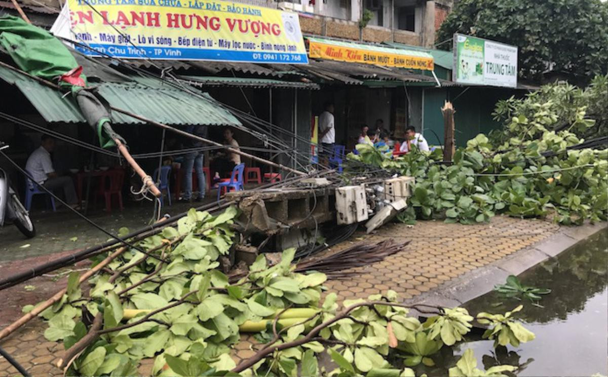 Nghệ An: Tan hoang sau bão, cây xanh bật gốc đè ô tô, người dân chặt cây tìm đường vào nhà Ảnh 1