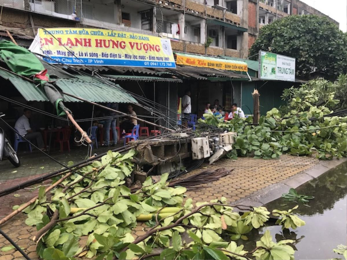 Nghệ An: Tan hoang sau bão, cây xanh bật gốc đè ô tô, người dân chặt cây tìm đường vào nhà Ảnh 17