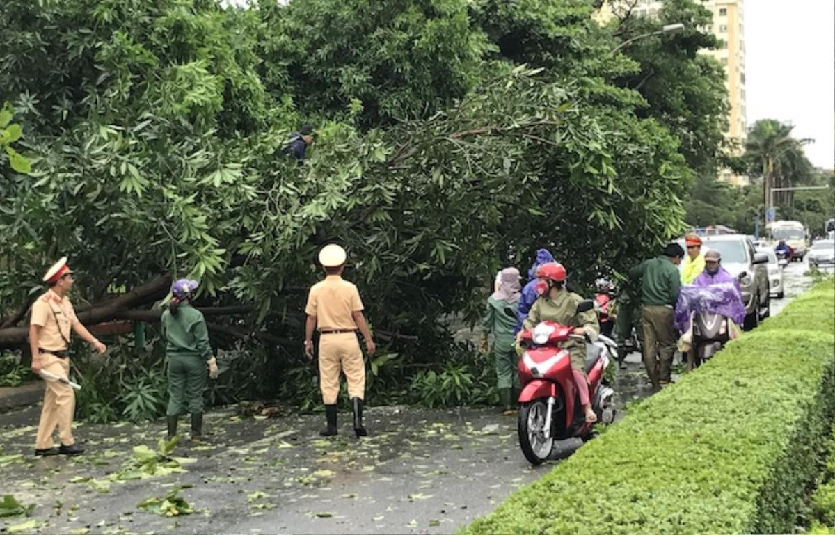 Nghệ An: Tan hoang sau bão, cây xanh bật gốc đè ô tô, người dân chặt cây tìm đường vào nhà Ảnh 13