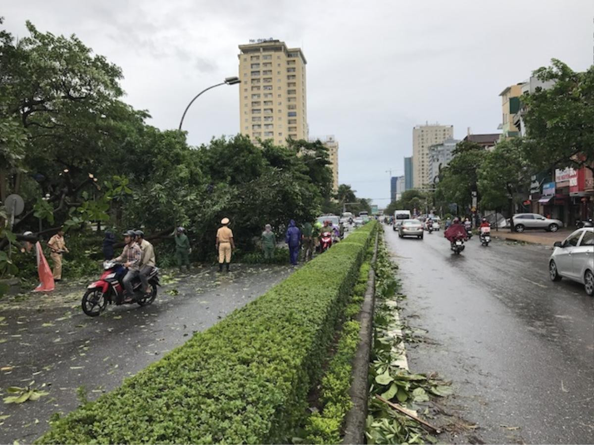 Nghệ An: Tan hoang sau bão, cây xanh bật gốc đè ô tô, người dân chặt cây tìm đường vào nhà Ảnh 2