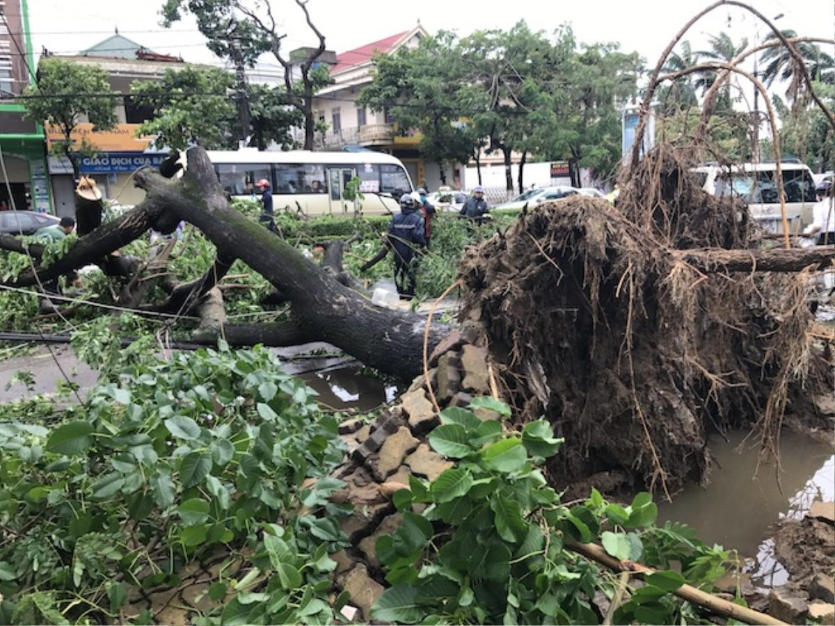 Nghệ An: Tan hoang sau bão, cây xanh bật gốc đè ô tô, người dân chặt cây tìm đường vào nhà Ảnh 3