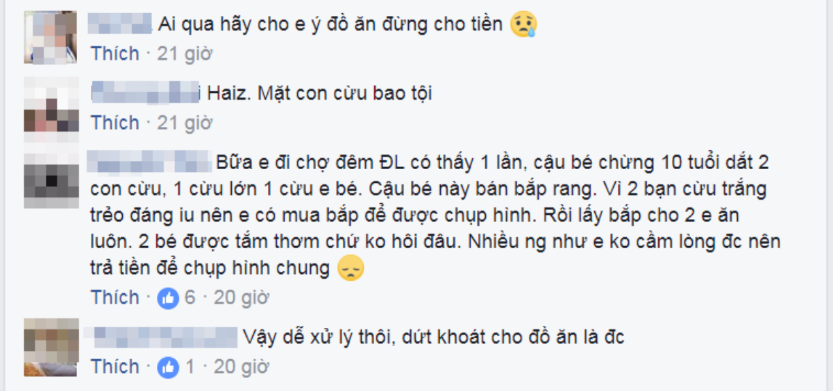 Phẫn nộ trước hình ảnh cừu con trắng nõn bị xích cổ bắt đi ăn xin ở chợ Đà Lạt Ảnh 6