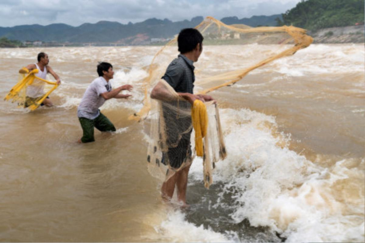 Rùng mình trước cảnh người dân 'tự sướng', đánh cá khi thuỷ điện Hoà Bình xả lũ như sóng thần Ảnh 5