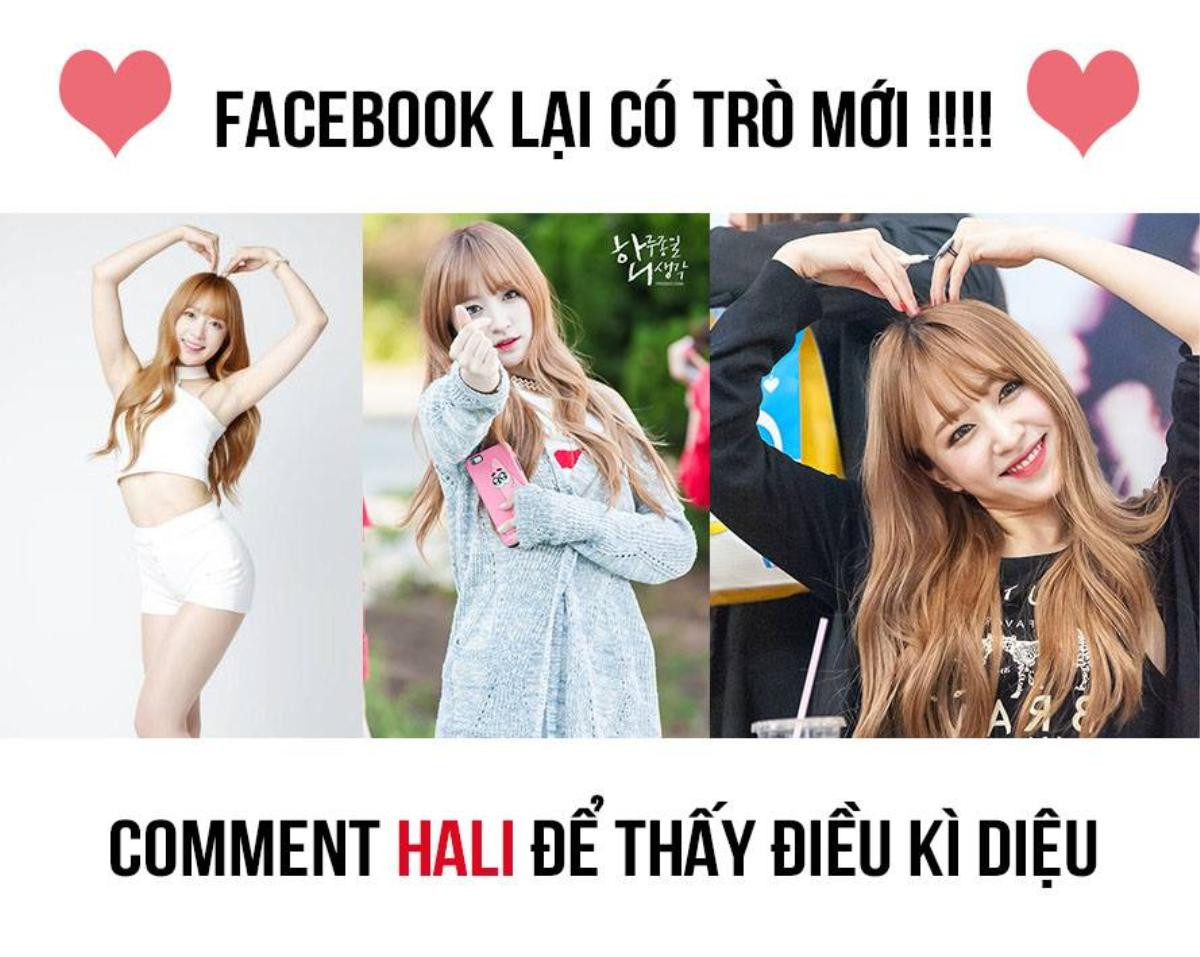 Ngày hôm nay, bạn đã thử 'Hali' và 'xoxo' để tung tim tràn ngập Facebook chưa? Ảnh 1