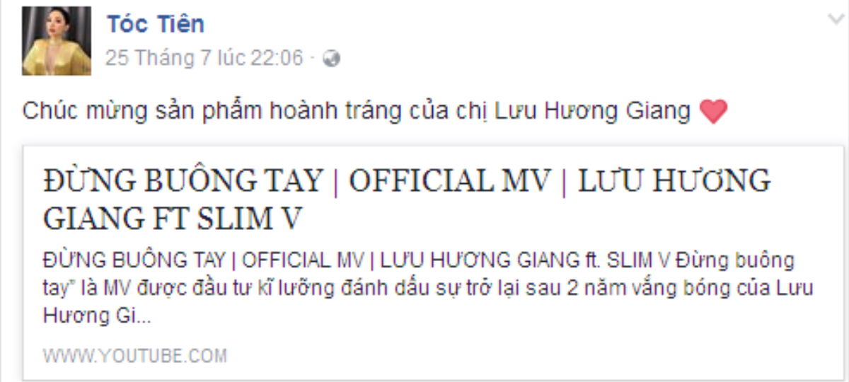 Sau 2 ngày ra mắt, đây là những gì Lưu Hương Giang nhận được từ dàn sao Việt đình đám Ảnh 4