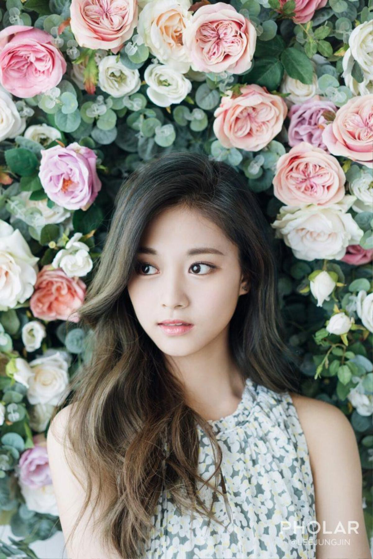 Tzuyu (Twice): Từ scandal chính trị đến nhân vật chính trong đề cương học tập của sinh viên Ảnh 1