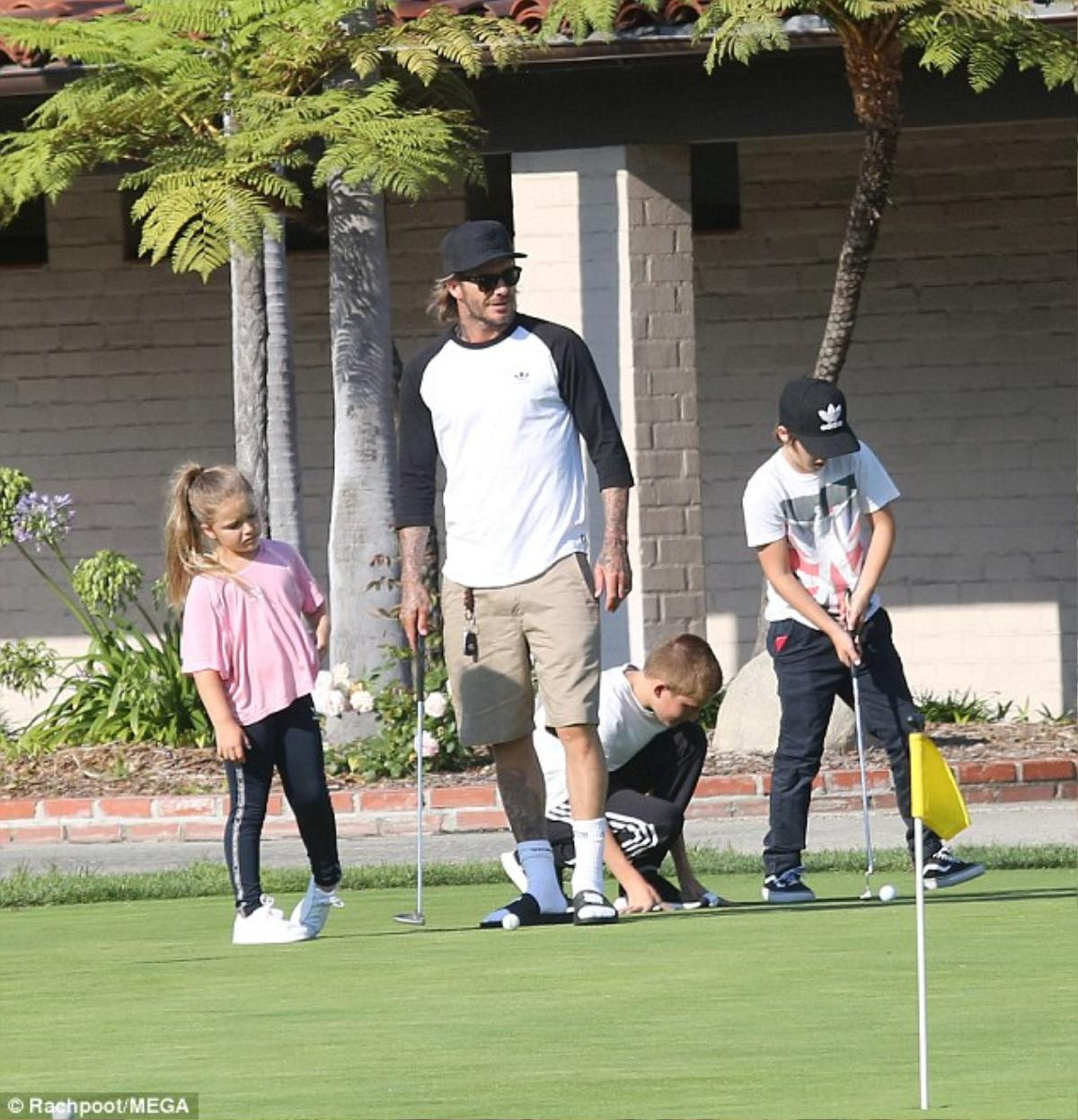 Dân mạng 'cầu xin' David Beckham đừng biến bé Harper thành golf thủ Ảnh 3