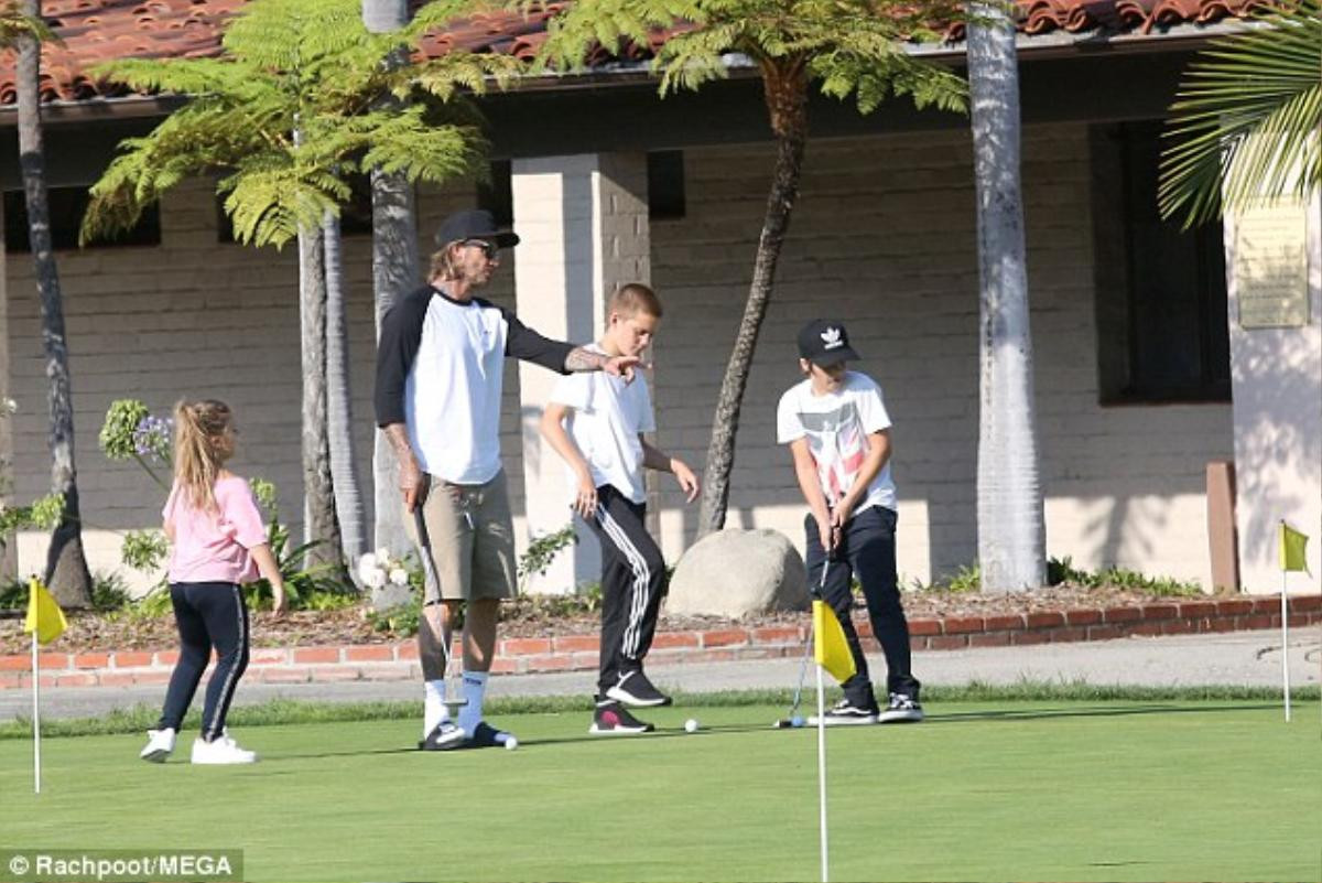 Dân mạng 'cầu xin' David Beckham đừng biến bé Harper thành golf thủ Ảnh 2