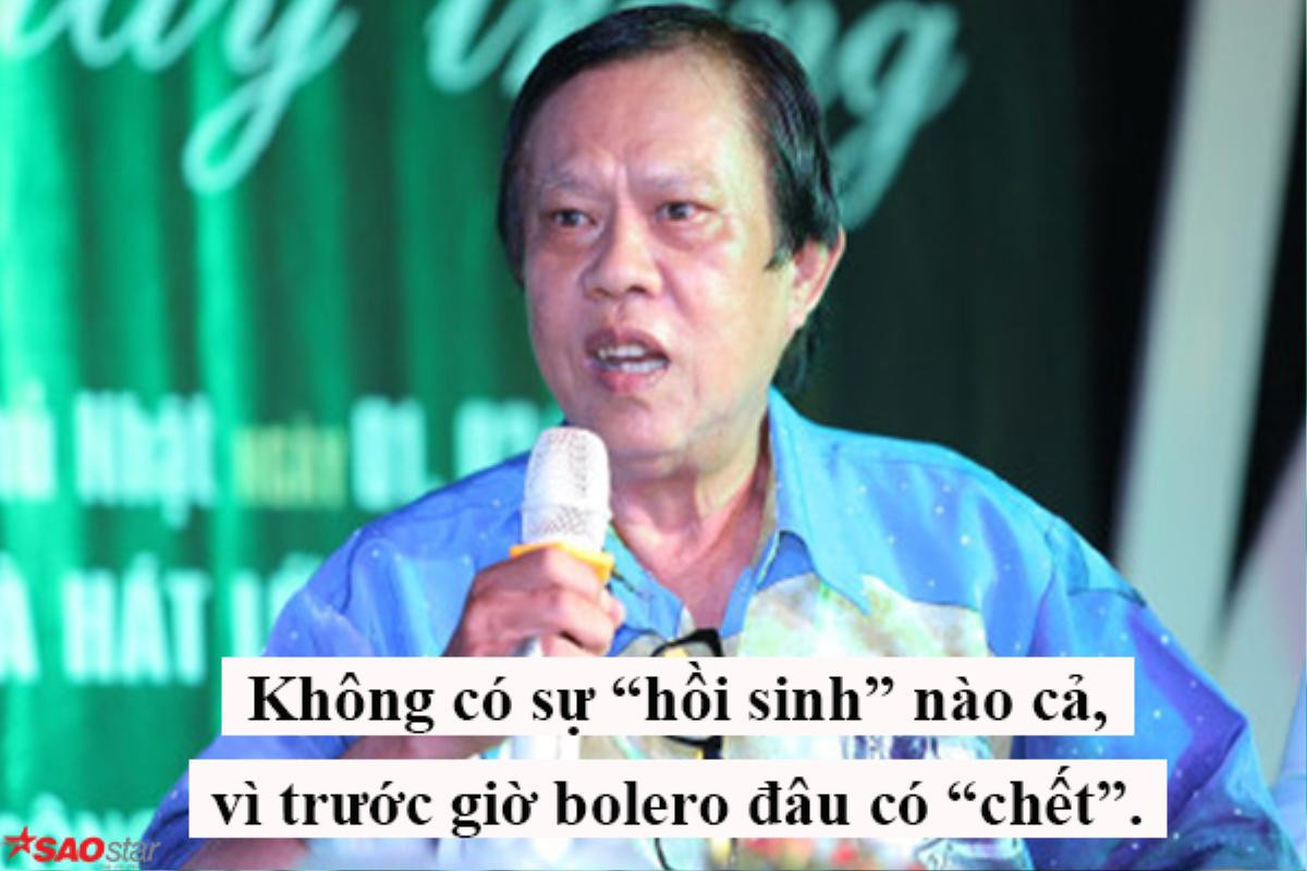 Nhạc sĩ Vinh Sử: 'Bolero thụt lùi hay Tùng Dương thụt lùi và tự suy tôn chính mình?' Ảnh 3