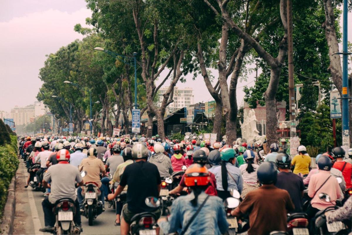 Hàng chục gian hàng gần sân bay Tân Sơn Nhất ồ ạt thanh lý chó, gà, cây cảnh, giao thông Sài Gòn hỗn loạn Ảnh 13