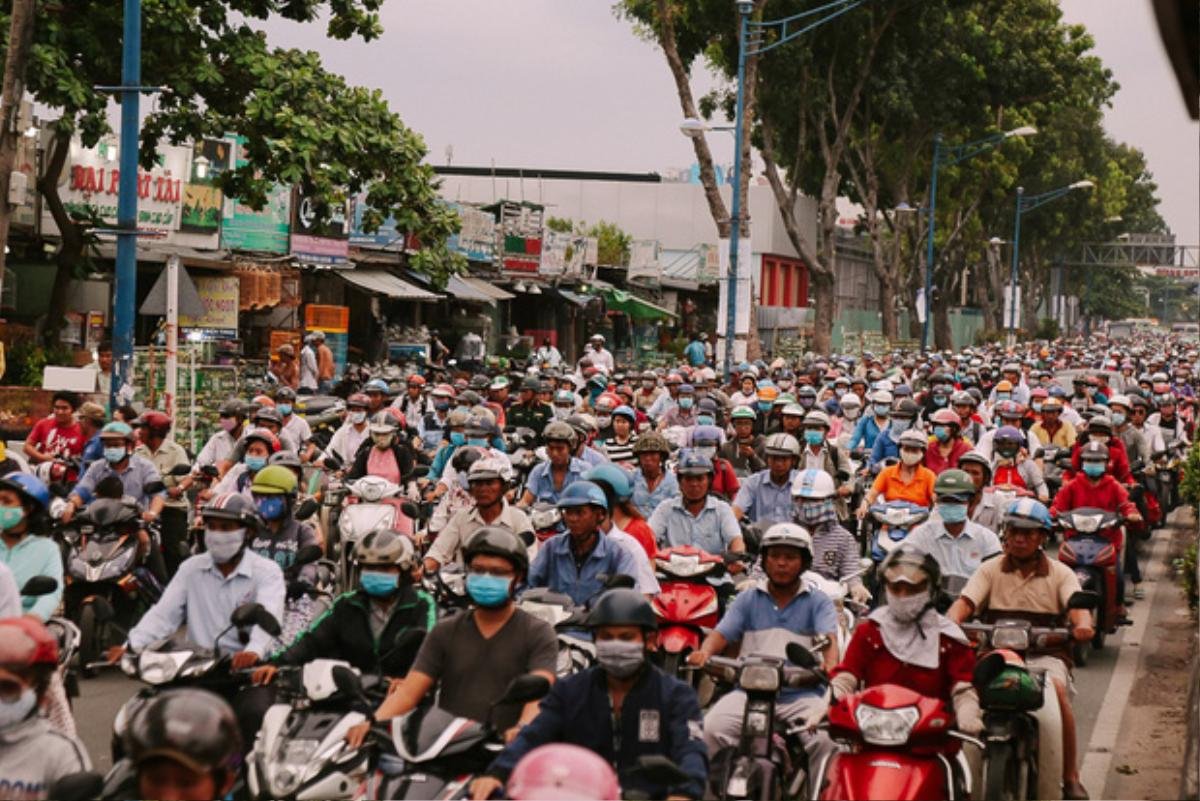 Hàng chục gian hàng gần sân bay Tân Sơn Nhất ồ ạt thanh lý chó, gà, cây cảnh, giao thông Sài Gòn hỗn loạn Ảnh 14