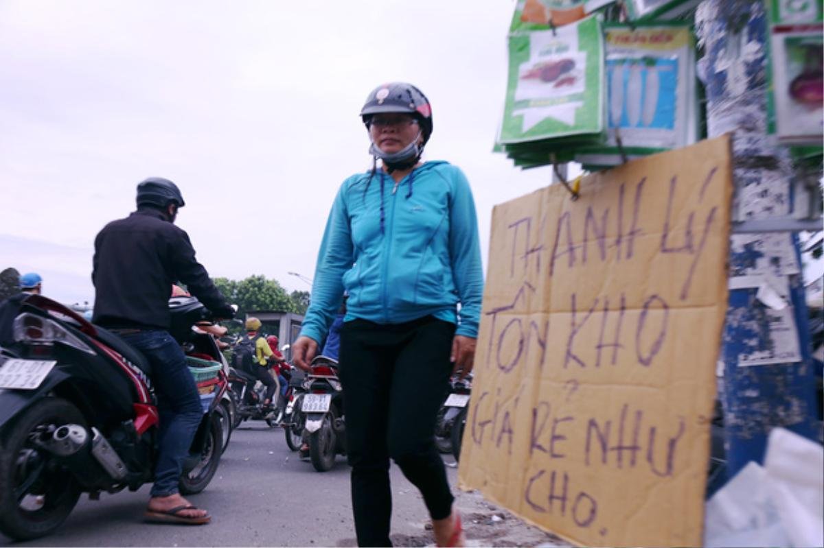 Hàng chục gian hàng gần sân bay Tân Sơn Nhất ồ ạt thanh lý chó, gà, cây cảnh, giao thông Sài Gòn hỗn loạn Ảnh 4