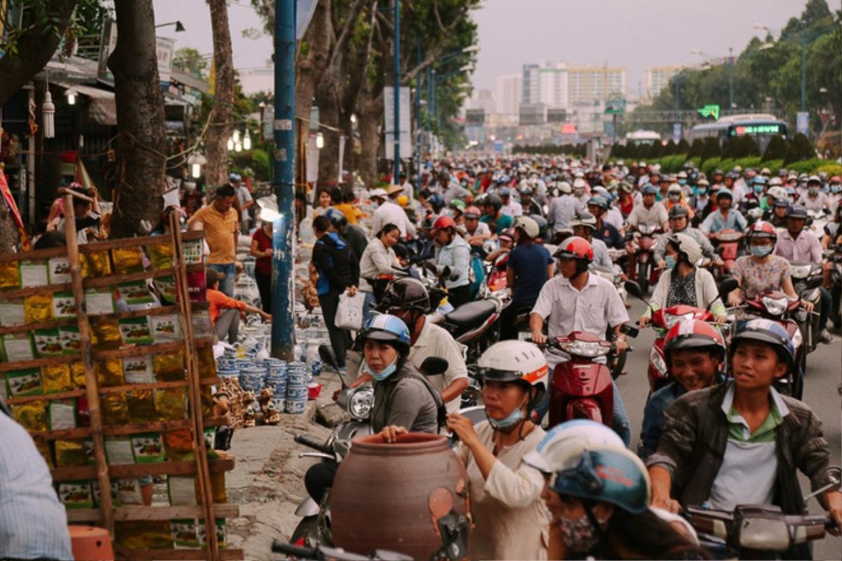 Hàng chục gian hàng gần sân bay Tân Sơn Nhất ồ ạt thanh lý chó, gà, cây cảnh, giao thông Sài Gòn hỗn loạn Ảnh 10