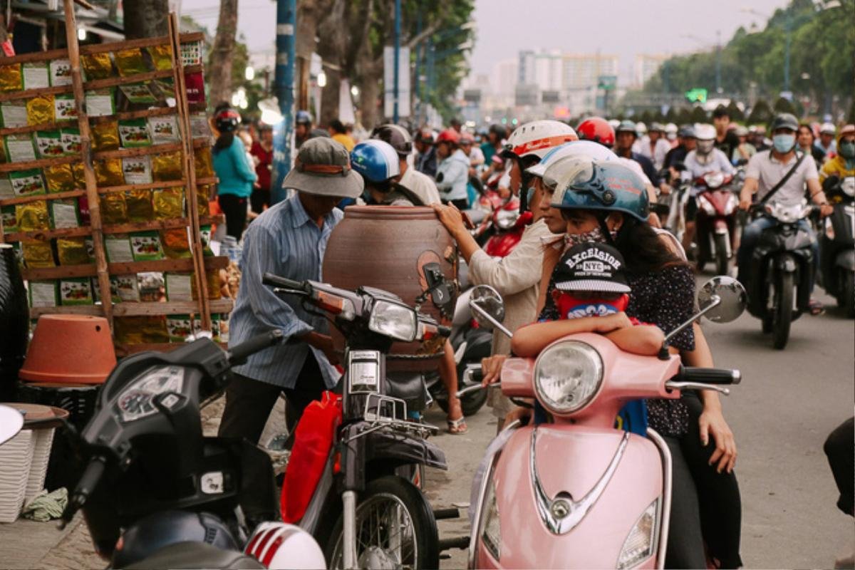 Hàng chục gian hàng gần sân bay Tân Sơn Nhất ồ ạt thanh lý chó, gà, cây cảnh, giao thông Sài Gòn hỗn loạn Ảnh 12