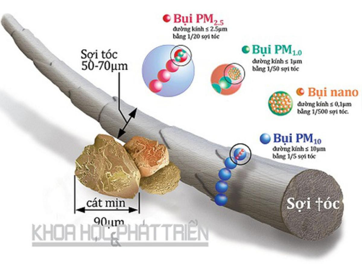 Không khí ở Việt Nam: Phát hiện bụi nano có thể 'đầu độc' DNA Ảnh 2