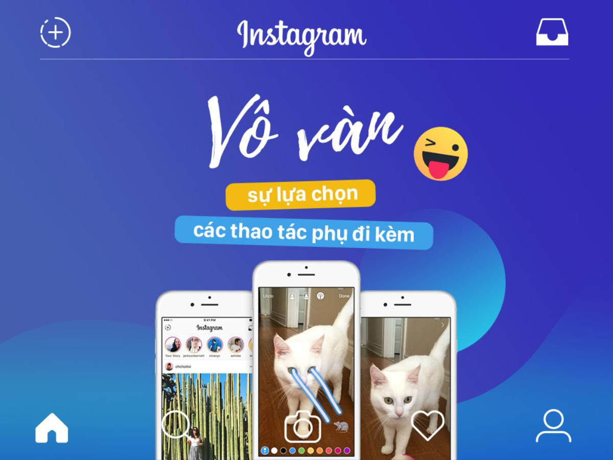 Instagram Stories - con dao 2 lưỡi: tưởng an toàn nhưng lại là vùng nguy hiểm Ảnh 5