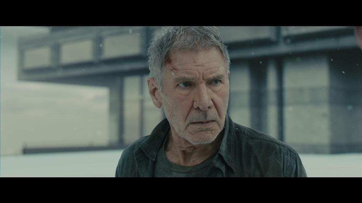 2 tiếng 43 phút có thoả mãn 35 năm chờ đợi của fan 'Blade Runner'? Ảnh 4