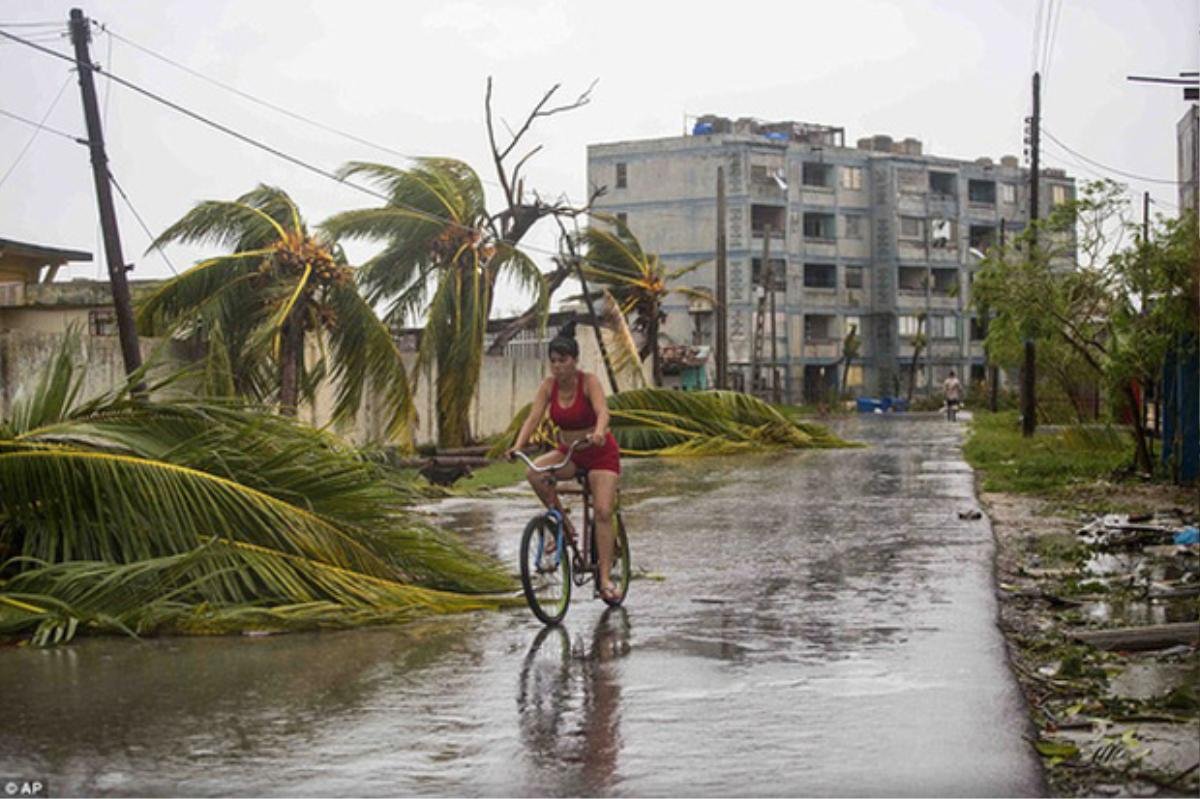 Bão Irma thổi bay nhà tù, hơn 100 tù nhân trốn thoát Ảnh 11