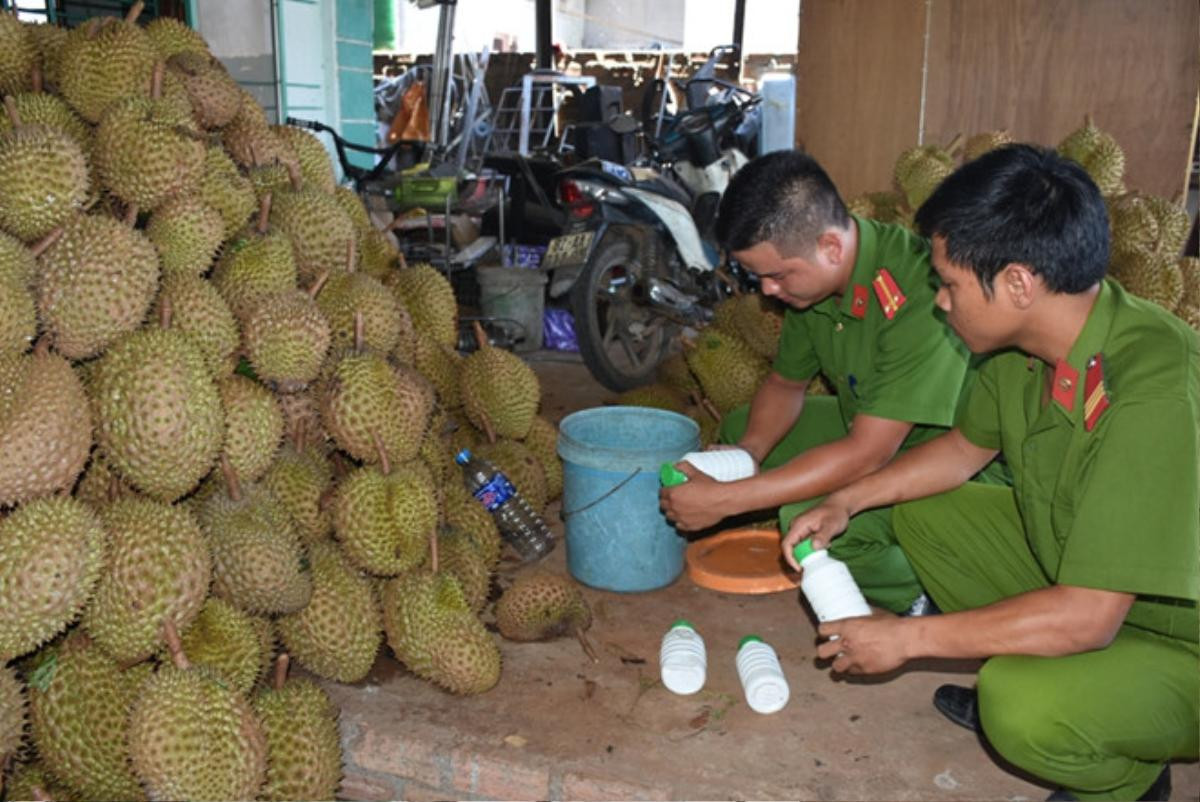 Bắt quả tang cơ sở sử dụng hóa chất làm chín hơn 1 tấn sầu riêng Ảnh 1