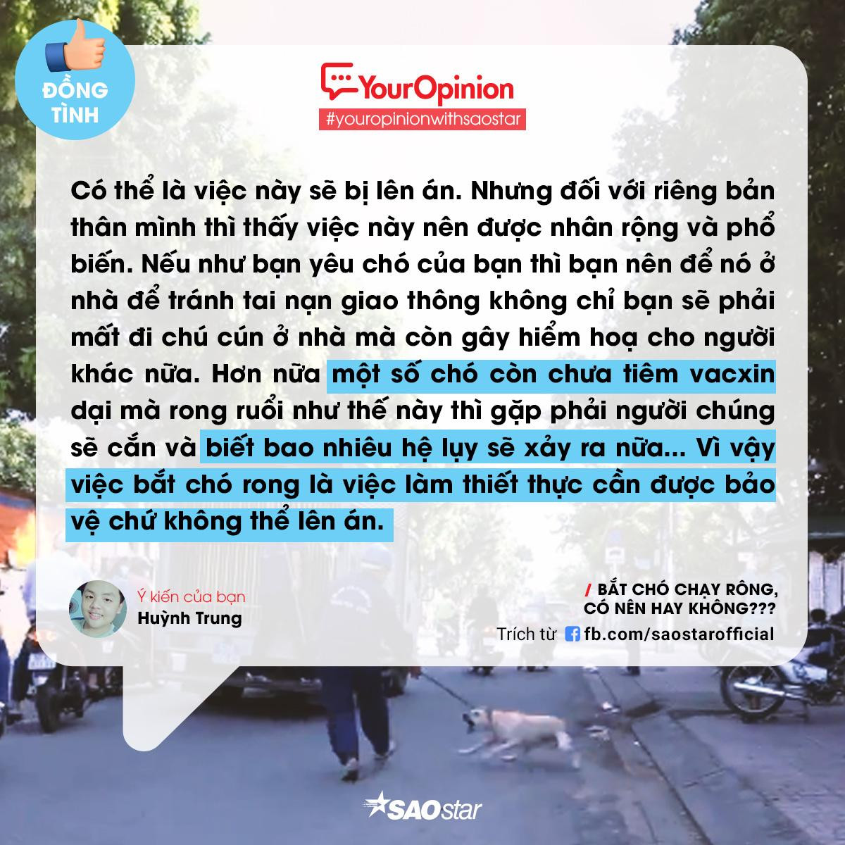 #YourOpinion: Bùng nổ tranh cãi về việc bắt chó thả rông và tiêu huỷ sau 72h chủ không đến nhận Ảnh 5